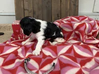 processed/07d730ac-00a1-464f-ab12-de0f6cb75c71/listing/f9898d23-b0c6-471a-b4fa-1d4c80402493/2ffd86a0-0066-40b9-b05f-b2f0c2b82002