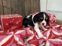 processed/07d730ac-00a1-464f-ab12-de0f6cb75c71/listing/f9898d23-b0c6-471a-b4fa-1d4c80402493/69391614-fa7e-49a5-b1e2-3ee110df3955