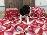 processed/07d730ac-00a1-464f-ab12-de0f6cb75c71/listing/f9898d23-b0c6-471a-b4fa-1d4c80402493/81c5ea13-06ad-4784-81fd-51aa2cc42a0c