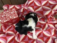 processed/07d730ac-00a1-464f-ab12-de0f6cb75c71/listing/f9898d23-b0c6-471a-b4fa-1d4c80402493/bf0bb3f4-c209-4145-991a-f5c8dbacb0b9