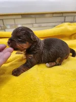 processed/07d8302e-b2ac-4e1e-9020-402ef318589c/listing/1c3a5531-a756-4978-9d16-3dfe3ab3f32d/05a89509-7f72-4950-99d0-79598229ba72