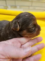 processed/07d8302e-b2ac-4e1e-9020-402ef318589c/listing/1c3a5531-a756-4978-9d16-3dfe3ab3f32d/219fa320-8fd2-4930-b81f-3cfd0a192bc7