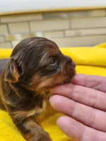 processed/07d8302e-b2ac-4e1e-9020-402ef318589c/listing/1c3a5531-a756-4978-9d16-3dfe3ab3f32d/83e4dec1-074b-4277-8f0f-5d13e8656ce9