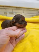 processed/07d8302e-b2ac-4e1e-9020-402ef318589c/listing/1c3a5531-a756-4978-9d16-3dfe3ab3f32d/9b3db2d9-ec55-47d3-ae9e-bff348014832