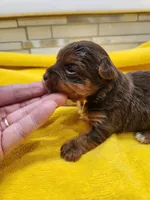 processed/07d8302e-b2ac-4e1e-9020-402ef318589c/listing/1c3a5531-a756-4978-9d16-3dfe3ab3f32d/be656e2a-b4b7-4e3c-bd5a-81339f0b4879