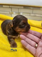 processed/07d8302e-b2ac-4e1e-9020-402ef318589c/listing/1c3a5531-a756-4978-9d16-3dfe3ab3f32d/defce6c8-a895-41a1-b884-b94f51672066