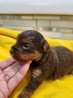 processed/07d8302e-b2ac-4e1e-9020-402ef318589c/listing/1c3a5531-a756-4978-9d16-3dfe3ab3f32d/ee1774ec-cdab-45a6-9dd0-cbfaf7e110a1