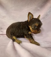 processed/07d8302e-b2ac-4e1e-9020-402ef318589c/listing/1d4aaff5-6152-42cd-854d-8066732a58be/65fe66f1-7cc2-45b0-bf23-0fe8beb1cf68