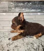 processed/07d8302e-b2ac-4e1e-9020-402ef318589c/listing/1d4aaff5-6152-42cd-854d-8066732a58be/908ae956-ec74-4faf-abb2-856fb2706e15