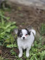 processed/07dd30e1-f4f2-44c7-ad05-5a78547e6b10/facility/0c3352cc-49e0-4d91-86bc-67fd1df7ea31