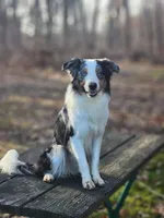 processed/07dd30e1-f4f2-44c7-ad05-5a78547e6b10/facility/1c33fd04-9057-4fb6-aec7-583753360f4f