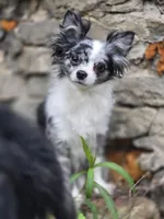 processed/07dd30e1-f4f2-44c7-ad05-5a78547e6b10/facility/b36c2a2f-cf7e-4648-b227-0378ac22b83e