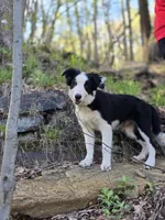 processed/07dd30e1-f4f2-44c7-ad05-5a78547e6b10/facility/db365723-6376-489c-ba78-80b846070ec8