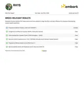 Rhys, a male Chihuahua for sale in East Brady, PA – Photo 4 of 5