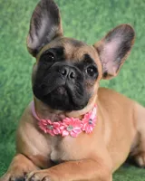 processed/07e1e83a-b418-4aac-a61f-f75c41affb5c/facility/96a7ad93-93e6-4d38-ae88-ac99b29c046c