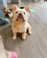 processed/07e1e83a-b418-4aac-a61f-f75c41affb5c/facility/b456a2cd-491a-4bb8-b344-ceb37a95bd0c