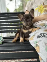 processed/07e1e83a-b418-4aac-a61f-f75c41affb5c/facility/e808bb82-d2ba-4be5-99ed-e3fb95d2038f