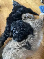 processed/07e207af-def6-4cab-97cb-40d749c79755/facility/146551d1-2d89-4054-9dc0-c2a56d688d68