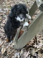 processed/07e207af-def6-4cab-97cb-40d749c79755/facility/168a9e4a-61c1-45d0-8a2a-a7779b9ed4df