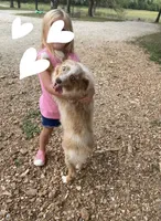 processed/07e207af-def6-4cab-97cb-40d749c79755/facility/375a4344-a64b-46fa-a5cb-e52df51f58e8