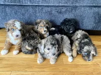 processed/07e207af-def6-4cab-97cb-40d749c79755/facility/61100ce7-d905-49be-914a-9d7758f9411d