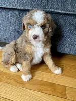 processed/07e207af-def6-4cab-97cb-40d749c79755/facility/6f9a2d7b-7148-44d6-a4c5-a53ba119eea4