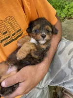 processed/07e207af-def6-4cab-97cb-40d749c79755/facility/9a132893-19b8-48eb-8867-1cae10700ef2