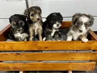 processed/07e207af-def6-4cab-97cb-40d749c79755/facility/9bbf51b7-6320-49d6-98bd-6810f3a51cbb