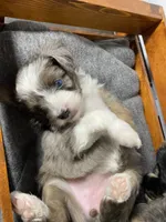 processed/07e207af-def6-4cab-97cb-40d749c79755/facility/aa222d7d-a0dd-41cd-93c1-6113fdae116f