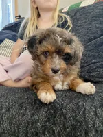 processed/07e207af-def6-4cab-97cb-40d749c79755/facility/e6dad627-6e59-41bd-945f-7f7327d5c81e