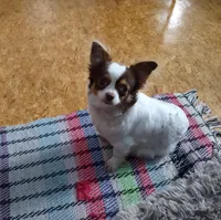 processed/07e56cc7-4a7d-407e-adc4-c94f93fdb4f0/facility/5c11ea40-55eb-40c7-83a1-110a182e233c