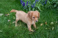 processed/07fdf09e-ded5-45fb-b40b-0afa4a7740ff/listing/f3868595-fbb1-4cad-81a1-82f23ac999b5/bc8a7558-2eb4-4a55-9c6c-7b4624decb49