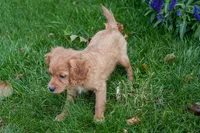 processed/07fdf09e-ded5-45fb-b40b-0afa4a7740ff/listing/f3868595-fbb1-4cad-81a1-82f23ac999b5/e08ea0a3-6adf-4eaa-b5c1-91b7e57326d0