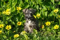 processed/07fdf09e-ded5-45fb-b40b-0afa4a7740ff/listing/fb45c919-1676-4fdd-a0f4-573d9a0574fb/21a8d6a1-503e-43b0-a49a-1c66a907d93b