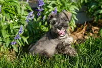 processed/07fdf09e-ded5-45fb-b40b-0afa4a7740ff/listing/fb45c919-1676-4fdd-a0f4-573d9a0574fb/6730c55e-908e-4dc7-b30a-49fc5a438de2