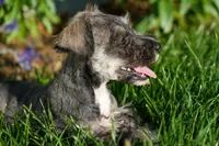 processed/07fdf09e-ded5-45fb-b40b-0afa4a7740ff/listing/fb45c919-1676-4fdd-a0f4-573d9a0574fb/f333ab8b-d785-4266-90cb-7a719a8f7442