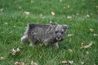 processed/07fdf09e-ded5-45fb-b40b-0afa4a7740ff/listing/fed8543a-1db7-437c-aad7-fcffbacae5e1/95182412-0d04-4e87-adfd-b8ecb7f80d11