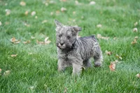 processed/07fdf09e-ded5-45fb-b40b-0afa4a7740ff/listing/fed8543a-1db7-437c-aad7-fcffbacae5e1/987d0a16-964a-4bf8-9453-aea7bd53a66c