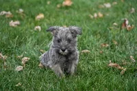 processed/07fdf09e-ded5-45fb-b40b-0afa4a7740ff/listing/fed8543a-1db7-437c-aad7-fcffbacae5e1/bbfc28ca-63c6-47ae-be85-bdcb3b0493d2