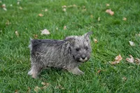 processed/07fdf09e-ded5-45fb-b40b-0afa4a7740ff/listing/fed8543a-1db7-437c-aad7-fcffbacae5e1/cbbaf3f3-43ba-42f6-8c04-69b15bc9b591