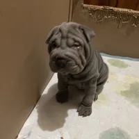 processed/0802b456-99b7-462d-bd14-2364cdf0daac/facility/0342cc13-2b4a-41c9-ad1d-264e38f0b581