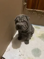 processed/0802b456-99b7-462d-bd14-2364cdf0daac/facility/0342cc13-2b4a-41c9-ad1d-264e38f0b581