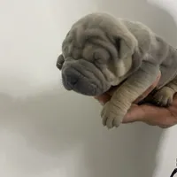 processed/0802b456-99b7-462d-bd14-2364cdf0daac/facility/1b9ec3e0-5f4b-47d5-af97-942661ae63b1