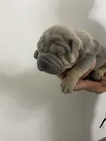 processed/0802b456-99b7-462d-bd14-2364cdf0daac/facility/1b9ec3e0-5f4b-47d5-af97-942661ae63b1