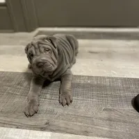 processed/0802b456-99b7-462d-bd14-2364cdf0daac/facility/5061fbc9-8d28-4449-a096-8c24ce391e29