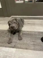 processed/0802b456-99b7-462d-bd14-2364cdf0daac/facility/5061fbc9-8d28-4449-a096-8c24ce391e29