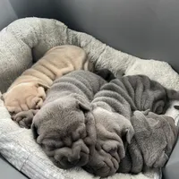 processed/0802b456-99b7-462d-bd14-2364cdf0daac/facility/6130dcae-600a-40a5-bb66-6cb7ab0f3872