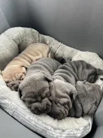 processed/0802b456-99b7-462d-bd14-2364cdf0daac/facility/6130dcae-600a-40a5-bb66-6cb7ab0f3872