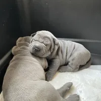 processed/0802b456-99b7-462d-bd14-2364cdf0daac/facility/7f21f632-94b4-4bfe-a5c0-a0906f028d78