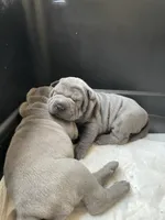 processed/0802b456-99b7-462d-bd14-2364cdf0daac/facility/7f21f632-94b4-4bfe-a5c0-a0906f028d78